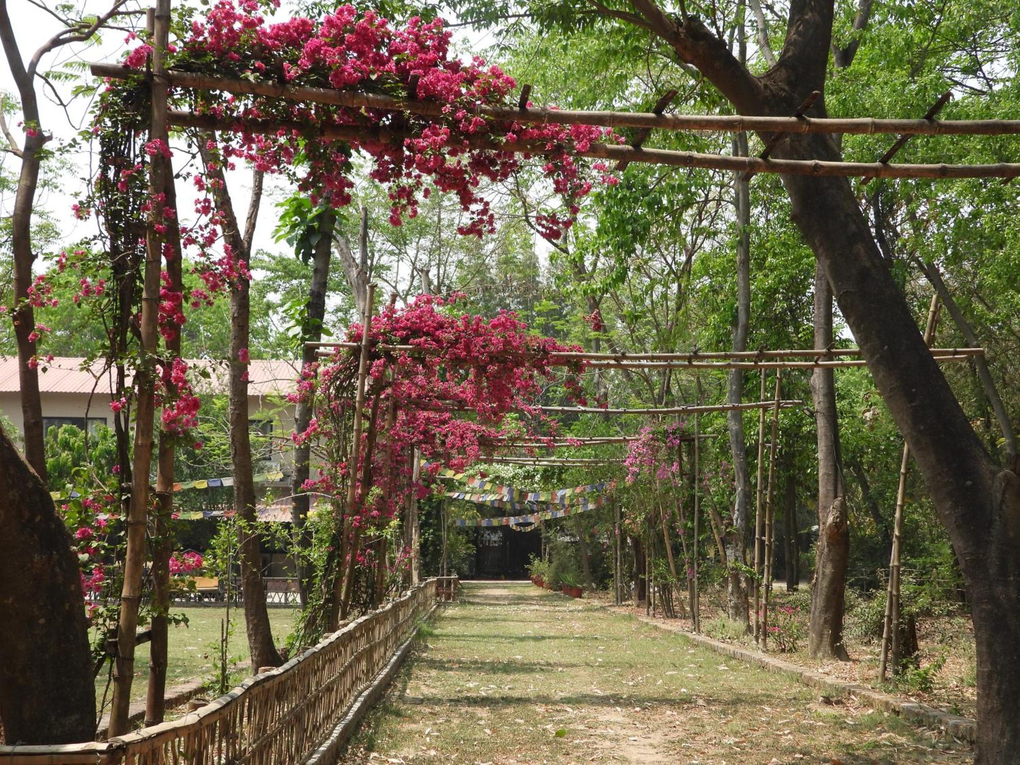 Lumbini Buddha Garden Resort Exterior foto
